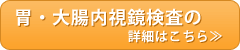 胃・大腸内視鏡検査の詳細はこちら